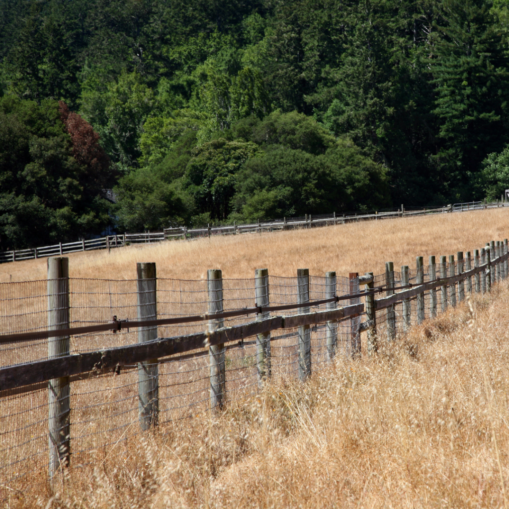 John Wayne Clearing & Grading Clearing and installing fence lines