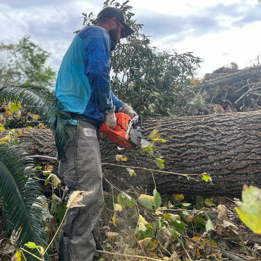 Storm Debris Cleanup John Wayne Clearing & Grading