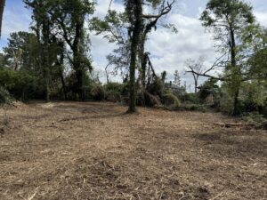 Forestry Mulching After 4
