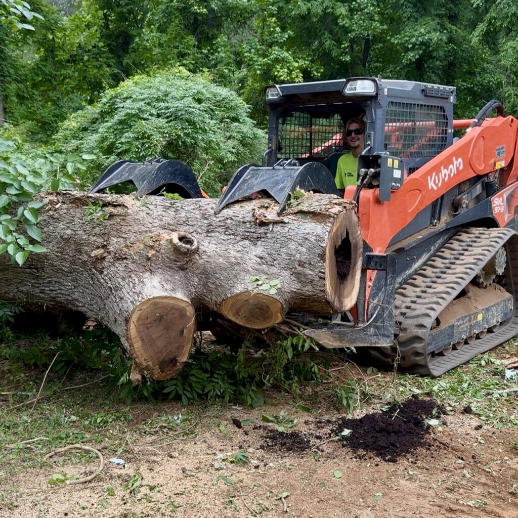 Kubota SVL97-3 skid steer moving large tree logs during a professional tree removal and land clearing project in Georgia.