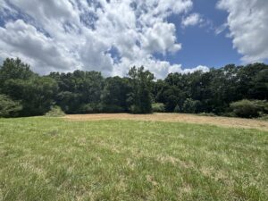 Forestry Mulching North Georgia After 1